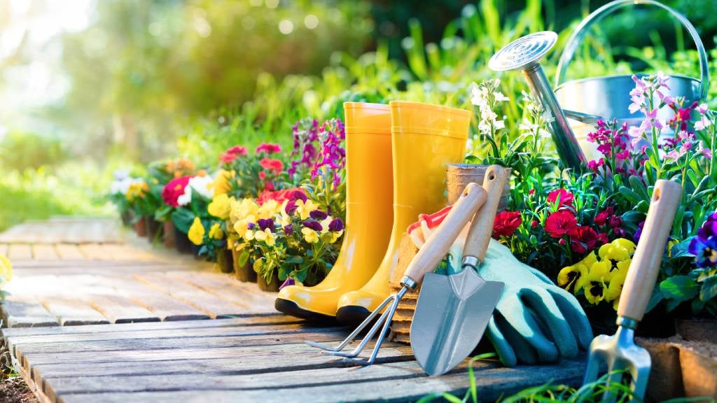 Лучшие 7 садовых ножниц для стрижки газона и кустарников Лучшие 7 садовых ножниц для стрижки газона и кустарников